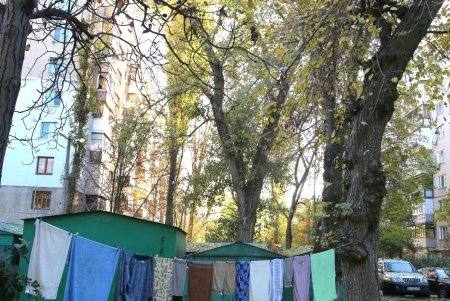Адмиральский проспект: от рабочего поселка до одной из ключевых улиц города (фоторепортаж) 