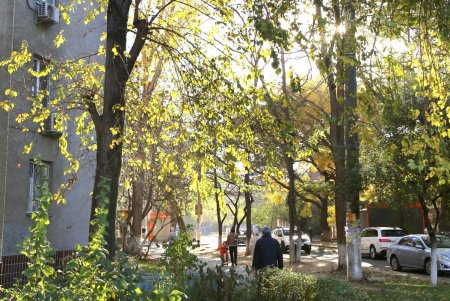 Адмиральский проспект: от рабочего поселка до одной из ключевых улиц города (фоторепортаж) 