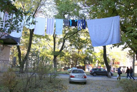 Адмиральский проспект: от рабочего поселка до одной из ключевых улиц города (фоторепортаж) 