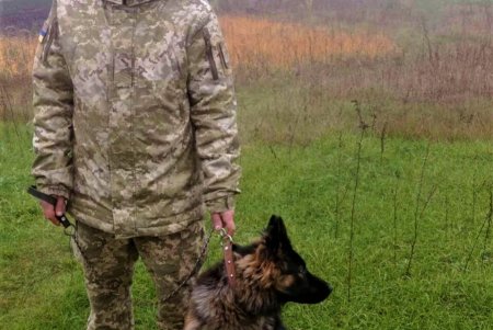Хищник напал на пограничников в Одесской области (фото, видео)