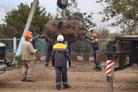 С начала года энергетики установили в области 26 искусственных гнезд для аистов и начали размещать на проводах светоотражающие элементы (фото)