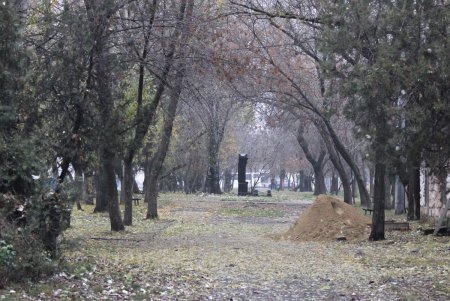 Сквер имени Михаила Плохого в ближайшее время преобразится (фоторепортаж)