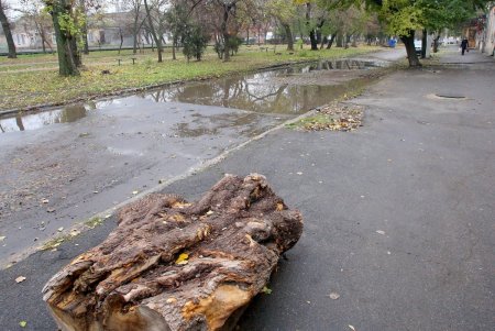 Сквер имени Михаила Плохого в ближайшее время преобразится (фоторепортаж)