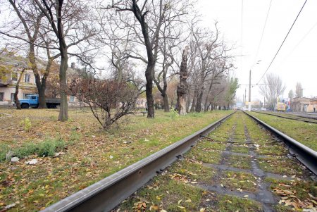 Сквер имени Михаила Плохого в ближайшее время преобразится (фоторепортаж)