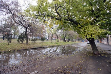 Сквер имени Михаила Плохого в ближайшее время преобразится (фоторепортаж)