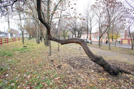Сквер имени Михаила Плохого в ближайшее время преобразится (фоторепортаж)