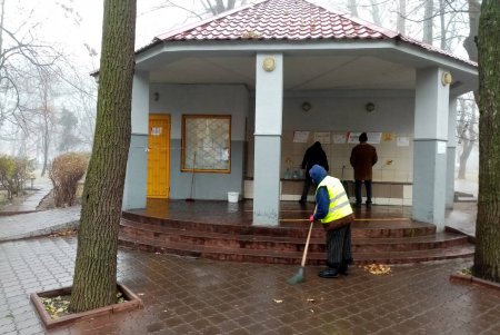 От листвы и мусора очистили памятники, а также территорию бюветов в Приморском районе (фото)