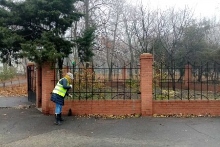 От листвы и мусора очистили памятники, а также территорию бюветов в Приморском районе (фото)