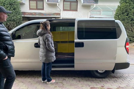 Спасенный в Одессе львенок сейчас находится на реабилитации и скоро отправится в ЮАР (фото, видео)