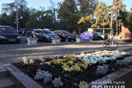 Под видом коммунальщиков двое мужчин украли с Аллеи Славы сотню декоративных кустов (фото)