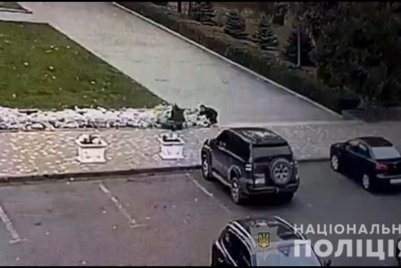 Под видом коммунальщиков двое мужчин украли с Аллеи Славы сотню декоративных кустов (фото)