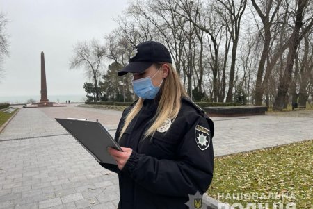 Под видом коммунальщиков двое мужчин украли с Аллеи Славы сотню декоративных кустов (фото)