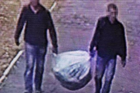 Под видом коммунальщиков двое мужчин украли с Аллеи Славы сотню декоративных кустов (фото)