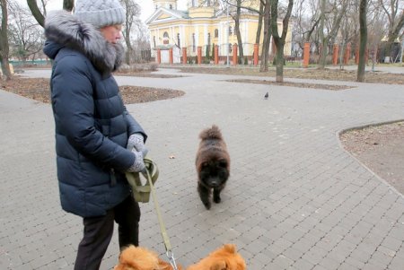 Ход благоустройства Алексеевского сквера (фоторепортаж)