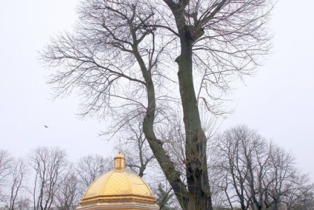 Ход благоустройства Алексеевского сквера (фоторепортаж)
