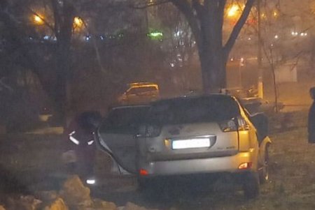 В Приморском районе Lexus врезался в бетонный забор и дерево (фото)