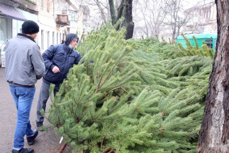 Новый год близко: в Одессе открылись первые елочные базары (фоторепортаж)