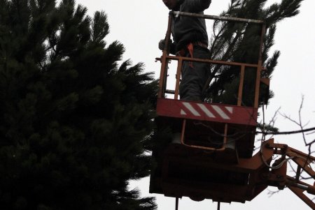 На Дерибасовской устанавливают новогоднюю елку (фоторепортаж)
