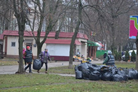 Проведена комплексная уборка улиц и зеленых зон на Черемушках (фото)