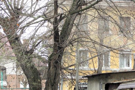 Пройдем по Ясной, свернем на Уютную, от их названий ласковых становится светлей... (фоторепортаж) 