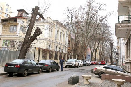 Пройдем по Ясной, свернем на Уютную, от их названий ласковых становится светлей... (фоторепортаж) 