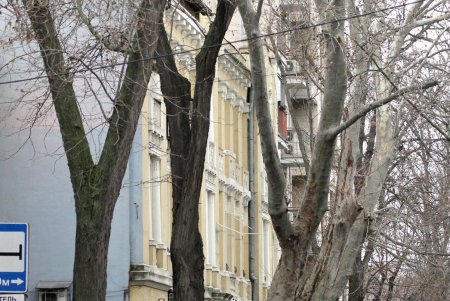 Пройдем по Ясной, свернем на Уютную, от их названий ласковых становится светлей... (фоторепортаж) 