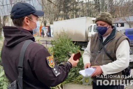 Полицейские Одесской области проверяют документы у продавцов новогодних деревьев (фото, видео)