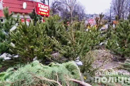 Полицейские Одесской области проверяют документы у продавцов новогодних деревьев (фото, видео)