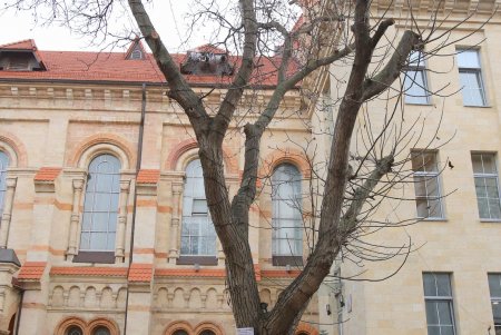 Баварские колбаски, глинтвейн и сувениры: в одесской Кирхе прошла рождественская ярмарка (фоторепортаж) 