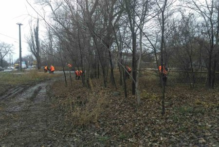 Собирали листья, очищали рельсы: к Новому году коммунальщики наводят в городе чистоту (фото)
