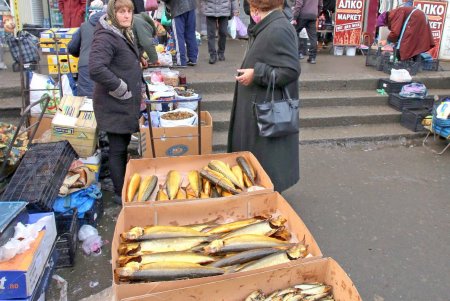 Предновогодний Привоз (фоторепортаж) 