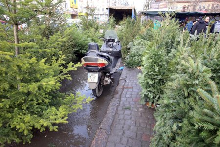 Предновогодний Привоз (фоторепортаж) 