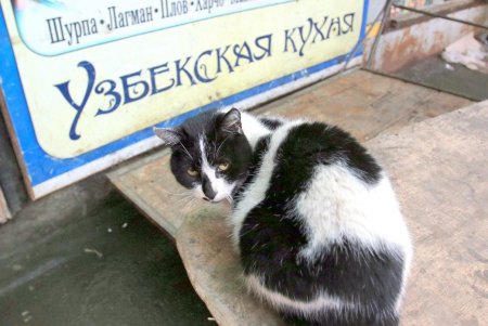 Предновогодний Привоз (фоторепортаж) 