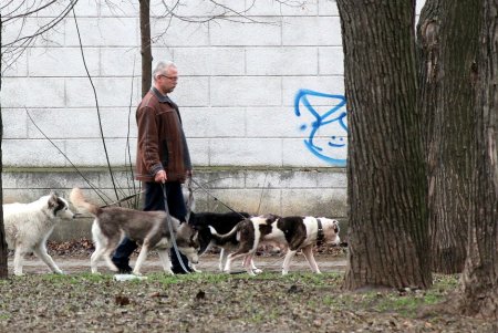 Встретив Новый год, одесситы ринулись отдыхать в парк Шевченко (фоторепортаж) 