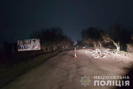 В Одесской области Mercedes насмерть сбил велосипедиста (фото)