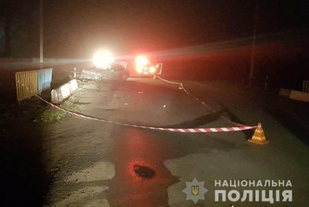 В Одесской области Mercedes насмерть сбил велосипедиста (фото)
