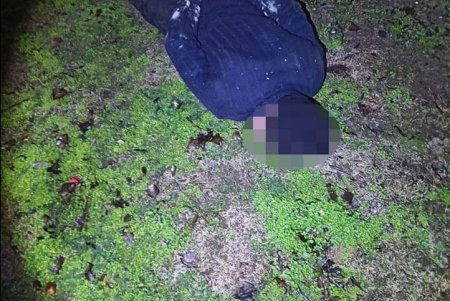 Воры вскрыли 15 машин на штрафплощадке, похитив из них аккумуляторы и магнитолы (фото)