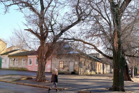 Прогулка по улице Кутузакия (фоторепортаж)