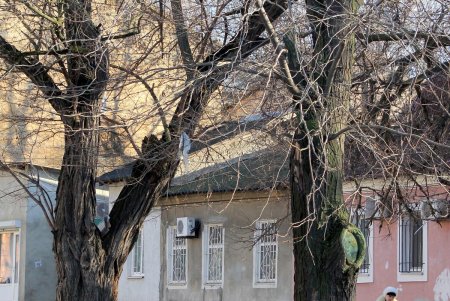 Прогулка по улице Кутузакия (фоторепортаж)