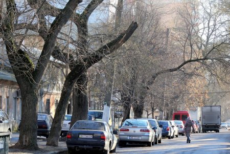 Прогулка по улице Кутузакия (фоторепортаж)