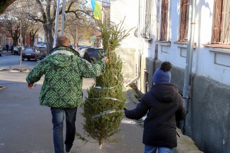 Прогулка по улице Кутузакия (фоторепортаж)