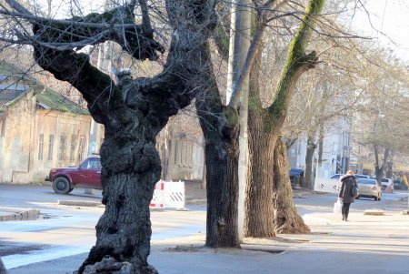 Прогулка по улице Кутузакия (фоторепортаж)