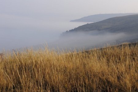 Песчаные косы, острова: на фото запечатлели уникальные ландшафты Тилигульского лимана (фото)