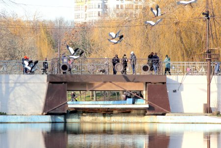 «Зимние каникулы ради безопасности»: одесситы гуляют в парке Победы (фоторепортаж)