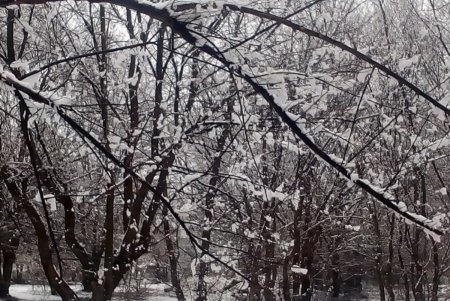 Одесскую область засыпало снегом (фото, видео)