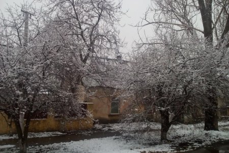 Одесскую область засыпало снегом (фото, видео)