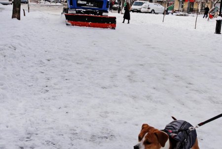 В Одессе выпал первый снег (фоторепортаж)