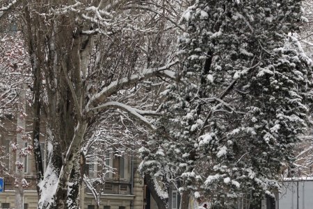 В Одессе выпал первый снег (фоторепортаж)
