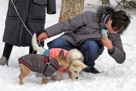 В Одессе выпал первый снег (фоторепортаж)