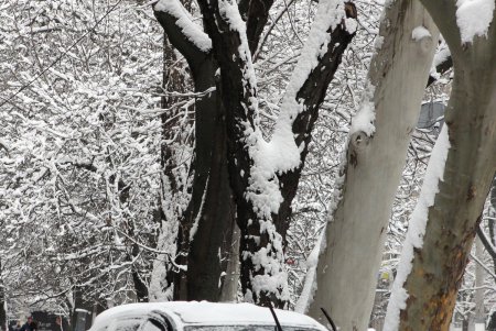 В Одессе выпал первый снег (фоторепортаж)